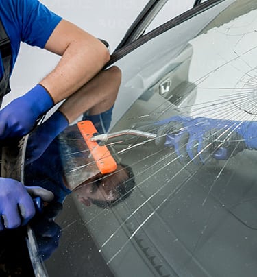 wholesale windshield replacement
